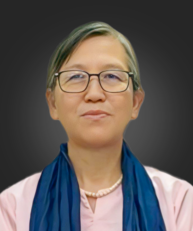 Prof. Dr. Daw Tin Tin Htwe